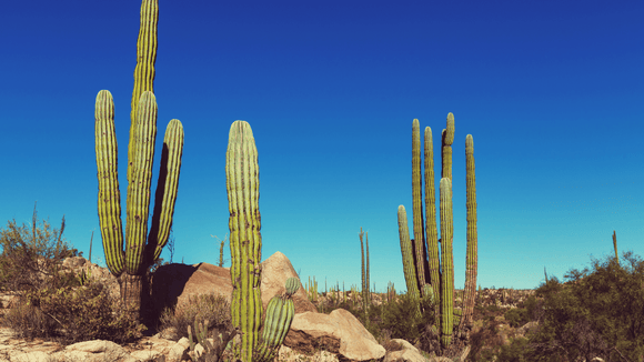 How to travel more sustainably in Mexico - Water to Go