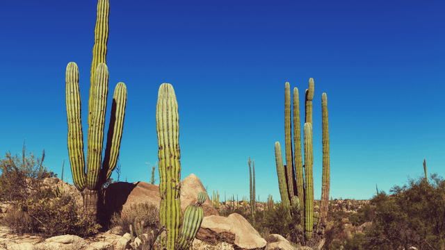 How to travel more sustainably in Mexico - Water to Go