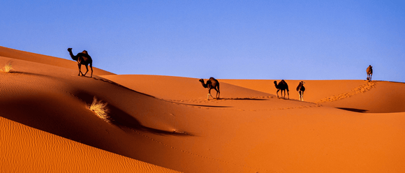 Top Five Things to Bring to Morocco - Water to Go