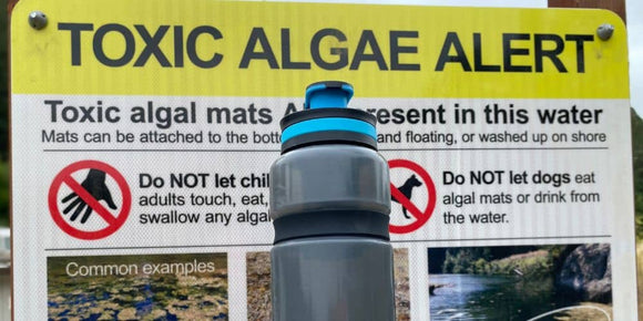 What Is Blue-Green Algae & Where Is It Found? - Water to Go