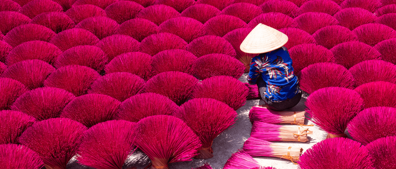 Woman in field of red